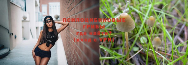 ALPHA PVP Алексеевка