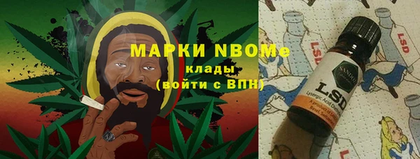 apvp Алзамай