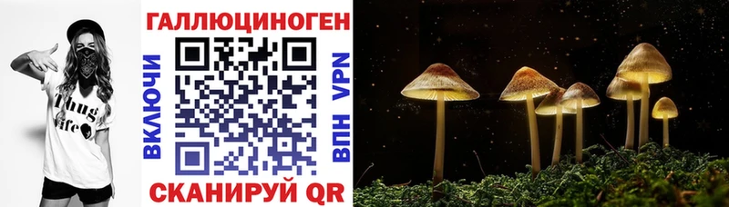 Псилоцибиновые грибы мицелий  кракен как зайти  Владивосток 